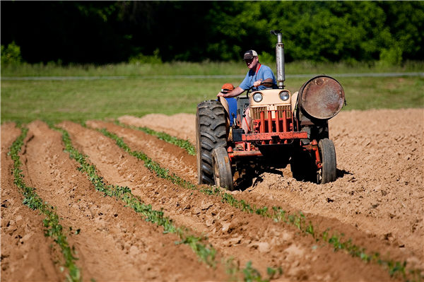土壤肥料养分速测仪