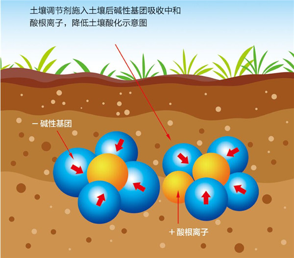 土壤是农业的基础，保护土壤，从现在开始