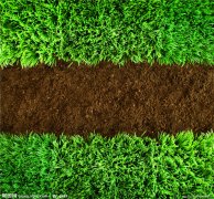 土壤水分仪的原理,土壤水分测定仪分析功能怎么样?