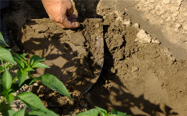 科学使用土壤水分测定仪准确灌溉来提高农作物产量