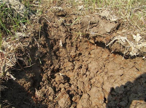 使用土壤水分速测仪的优势以及操作土壤水分速测仪的注意事项