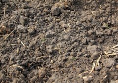 用土壤养分速测仪改良土壤的酸碱性的方法