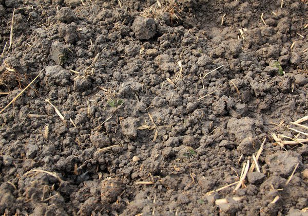 用土壤养分速测仪改良土壤的酸碱性的方法