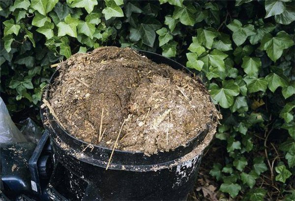 土壤养分分析仪测土推荐施肥技术的应用