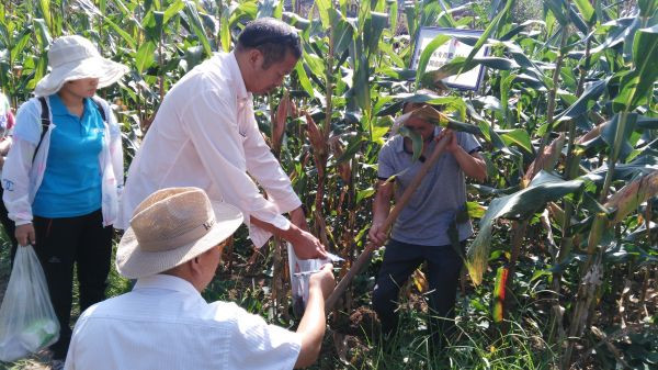 土壤养分快速测定仪分析土地利用方式与土壤质量的关系