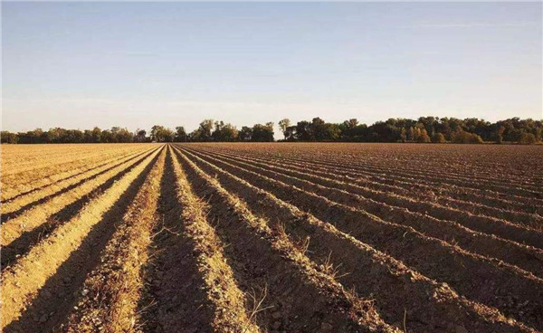 四种土壤养分测试方法的比较