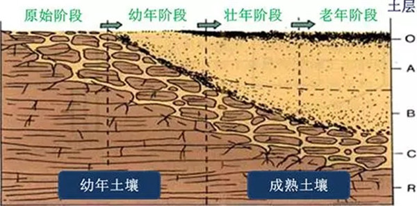 土壤养分检测仪工作原理、技术和方法