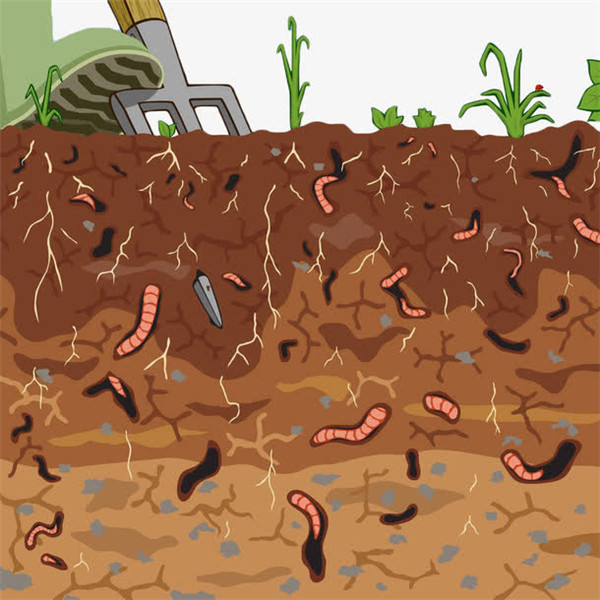 土壤养分快速测定仪的原理、技术、功能及效果
