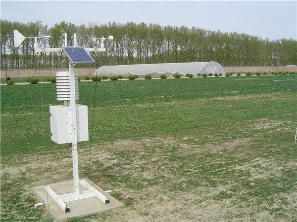 土壤水分速测仪如何检测西兰花对水分的要求？