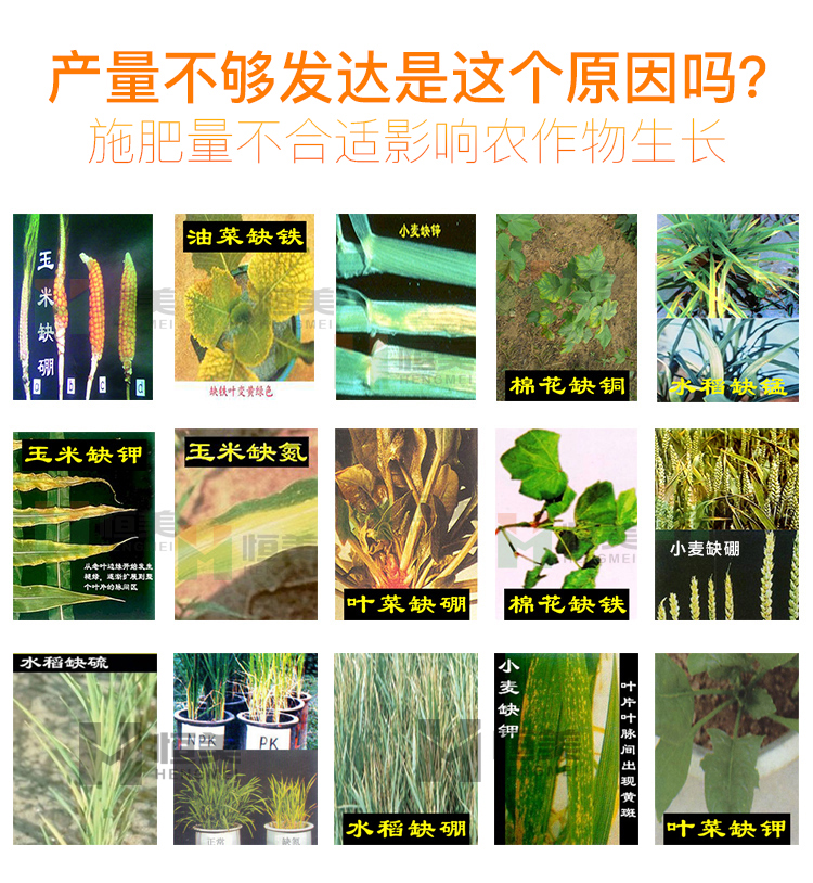 土壤养分速测仪